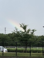 久しぶりの虹🌈