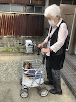 散歩