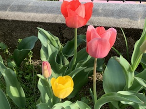 ブログ部門祈祷会♪