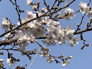 たった1日で(*^◯^*)