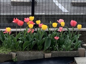祈りと練習♪